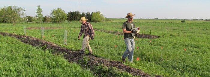 Hayden and Ernest walk along newly planted berm, where, in 10-15 years, a fruit overstory will shade the same place.
