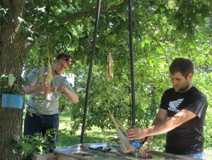 interns conner &dan chicken harvesting